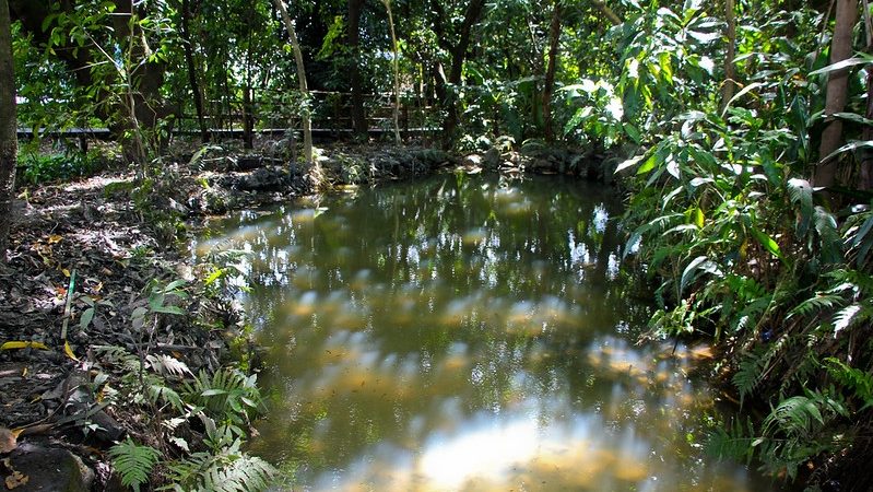 Parque Ecológico Eldorado recebe mais de 2,5 mil visitas semanais e se consolida como importante espaço de lazer