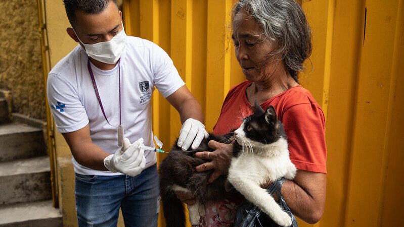 Mais saúde: Contagem realiza “Dia D” da Campanha de Vacinação Antirrábica no dia 23 de setembro