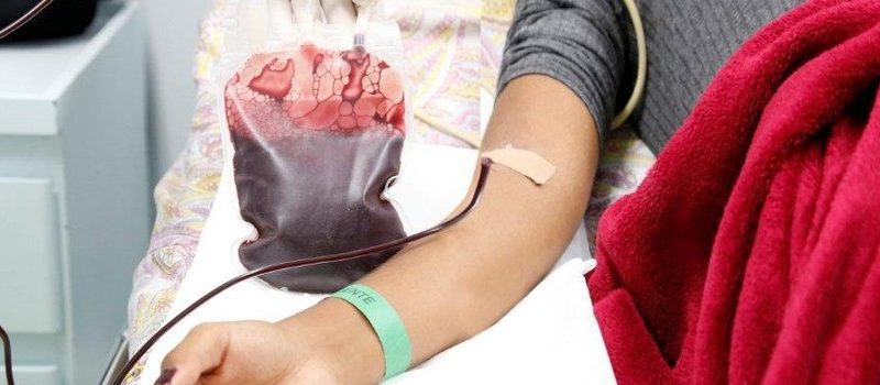 Hemominas celebra o Dia Mundial do Doador de Sangue nesta sexta-feira (14/6)