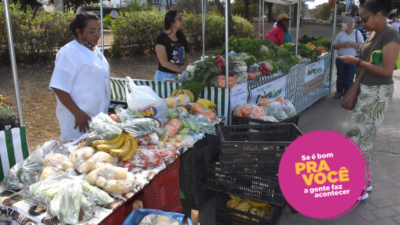 III Feira de Agricultura Urbana e Familiar vai reunir expositores locais, de cidades da RMBH e do interior de MG, neste sábado (8/6), na praça da Jabuticaba