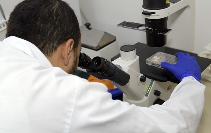 Grupo da UFMG desenvolve tratamento promissor contra câncer de intestino