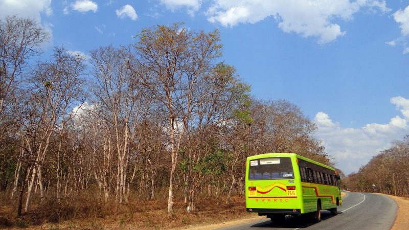 Plataforma de transporte rodoviário deve indenizar passageiros por problemas em viagem