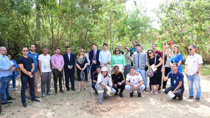 TJMG lança Projeto “Jovens Florestas – Plantando o Cuidado”