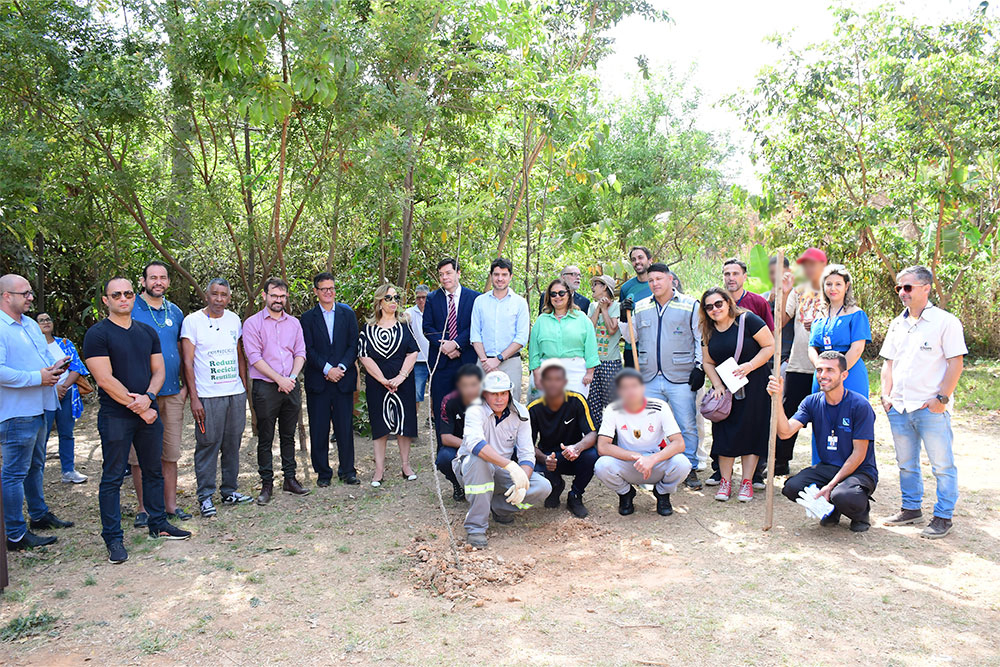 TJMG lança Projeto “Jovens Florestas – Plantando o Cuidado”