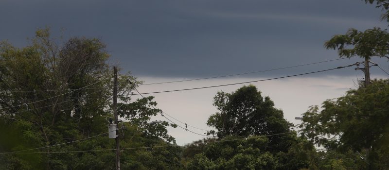 Defesa Civil de Minas Gerais alerta para fortes chuvas nas próximas 72 horas