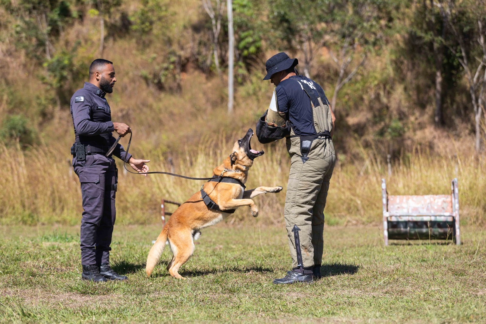 Grupo de Operações com Cães da Polícia Penal celebra 20 anos de serviços essenciais à segurança pública