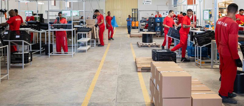 Galpão de trabalho da Nelson Hungria funciona semelhante ao de grandes indústrias