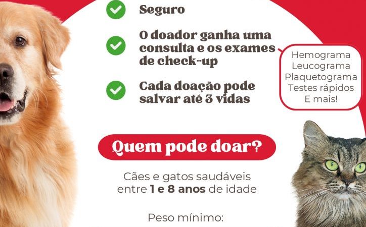 UFMG promove campanha de doação de sangue de animais