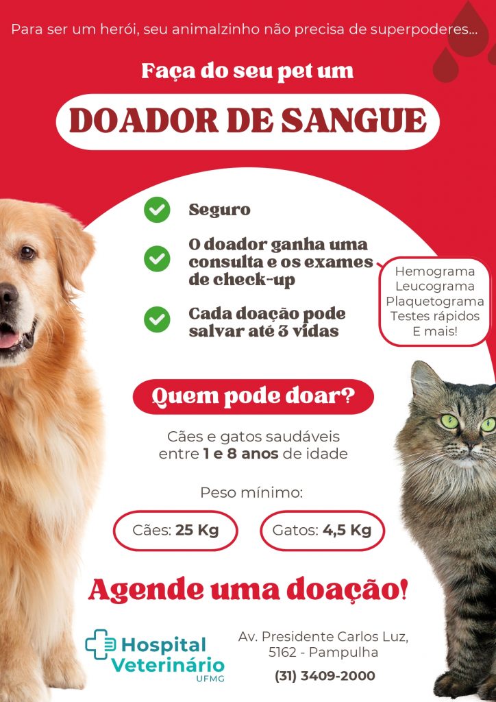 UFMG promove campanha de doação de sangue de animais