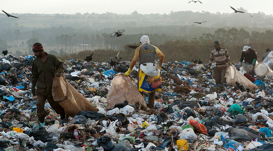 MUNIC 2023: Municípios apontam falta de consciência da população como um dos motivos para não avançar na gestão de saneamento, mas apenas 7,0% têm política de educação ambiental