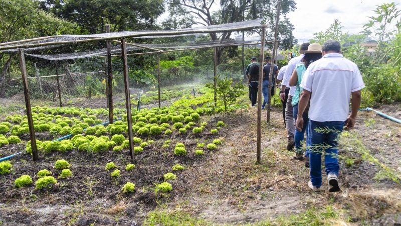 1ª Feira Urbana, Periurbana e Familiar do Quilombo dos Arturos será esse sábado (8/3), em Contagem